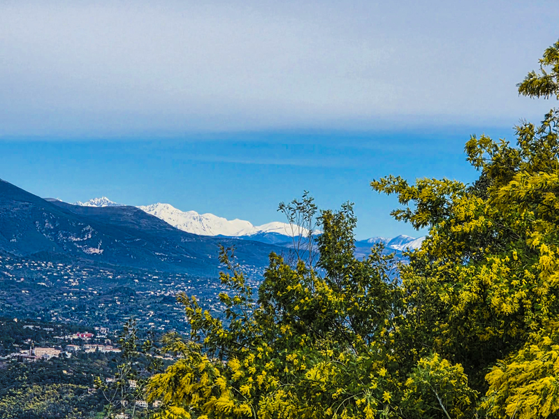 illustration de l'actualité