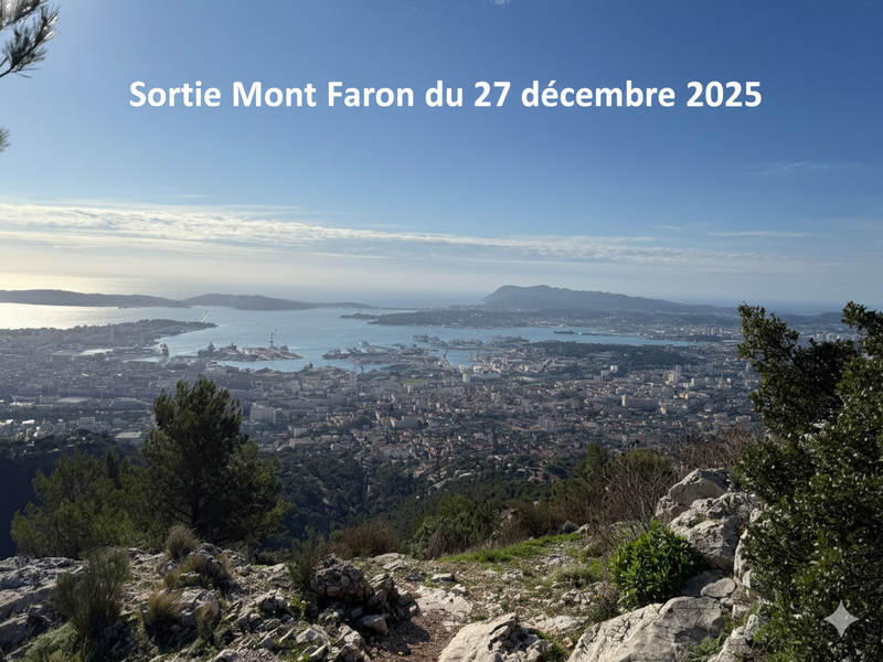 illustration de l'actualité